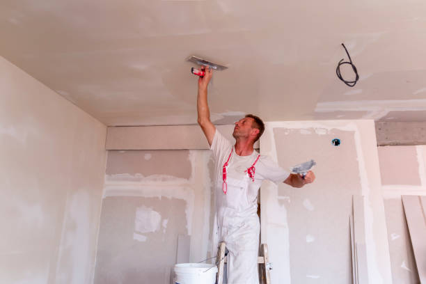 Best Water-Damaged Drywall Repair  in Mocksville, NC